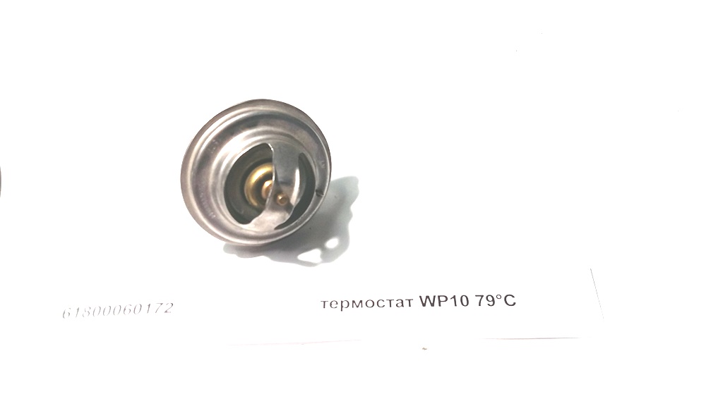 Термостат WP10 79&deg;С